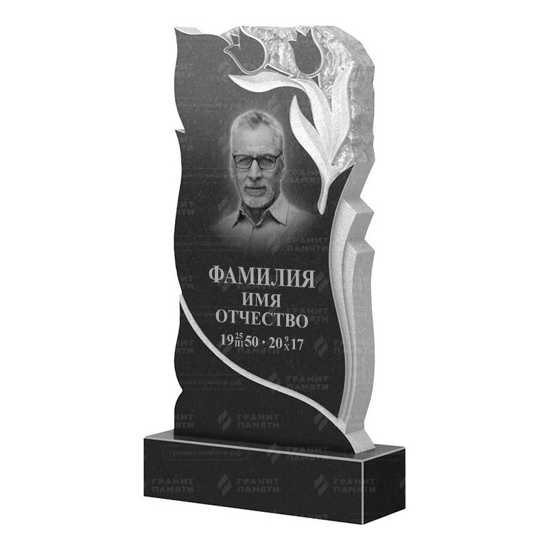 Гранитные памятники в Брянске | Гранитный памятник ФГ-223