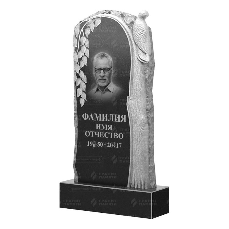 Гранитные памятники в Брянске | Гранитный памятник ФГ-206